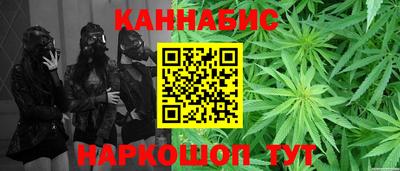 шишки Балашиха