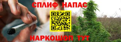 шишки Балашиха