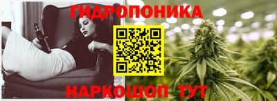шишки Балашиха