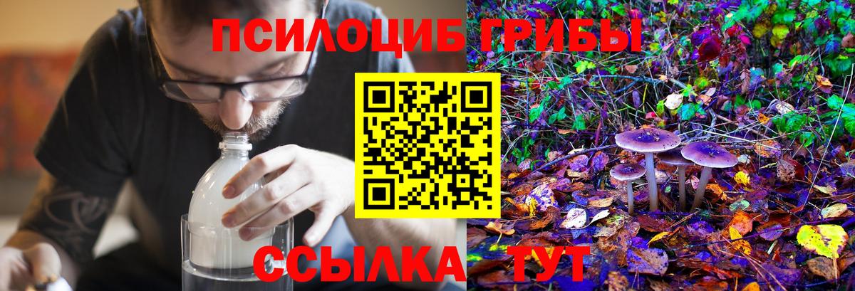 Псилоцибиновые грибы MAGIC MUSHROOMS  Псилоцибиновые грибы GOLDEN TEACHER  Дмитров  Вход с VPN 