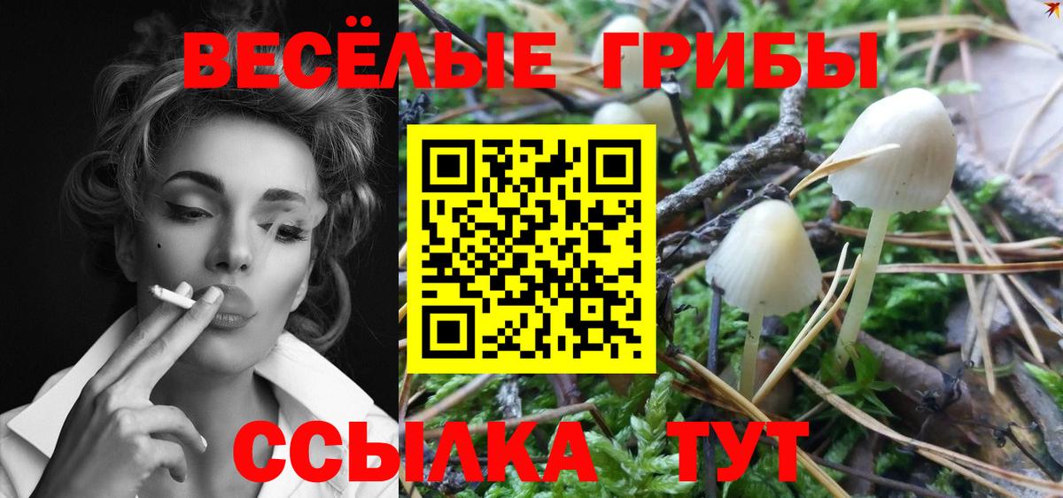 Галлюциногенные грибы ЛСД Дмитров